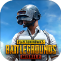 pubg2.8版本下载丧尸