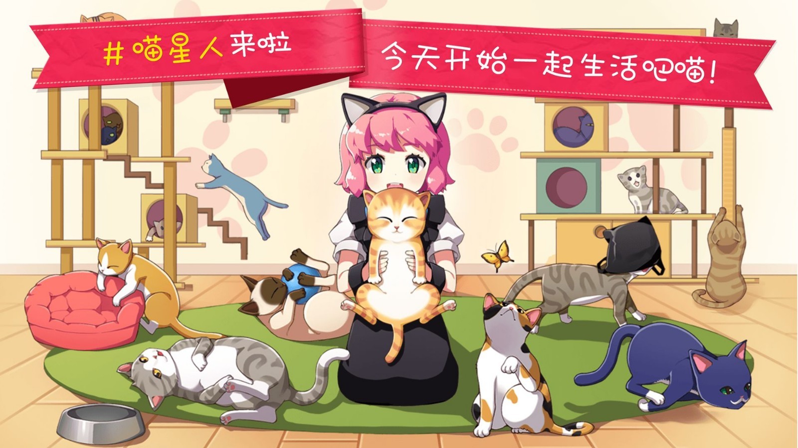 猫猫咖啡屋