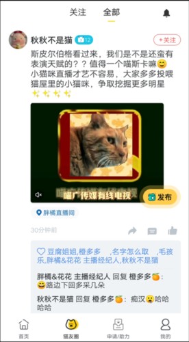 哈啰街猫怎么用7