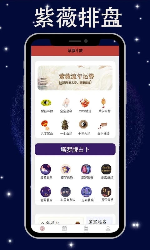 紫薇斗数排盘截图3