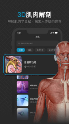 3D肌肉解剖截图1