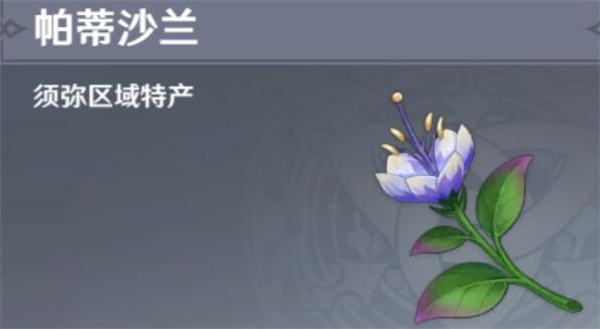 《原神》帕蒂沙兰采集路线攻略