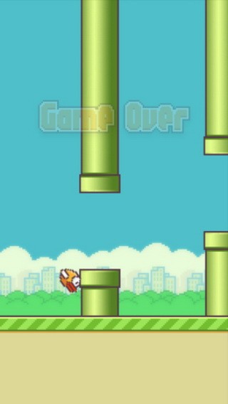 flappybird截图2