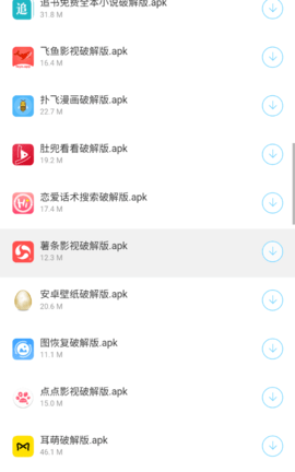 大奔软件库截图4