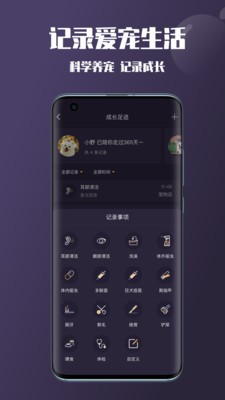 憨憨截图1