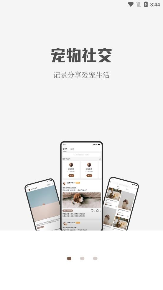 集宠区截图2