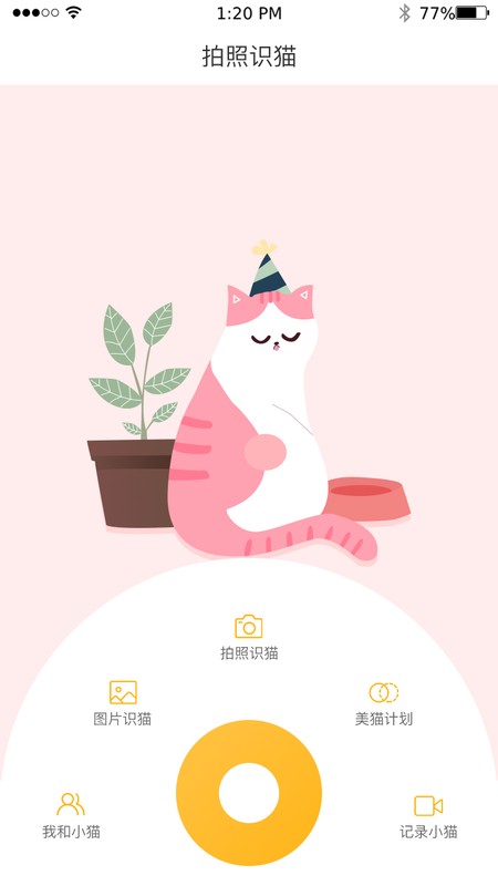 云养猫截图2