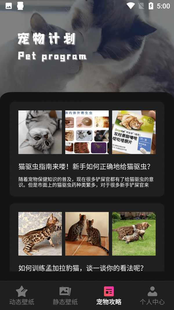 猫咪壁纸截图1