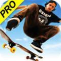 skate3滑板3中文版