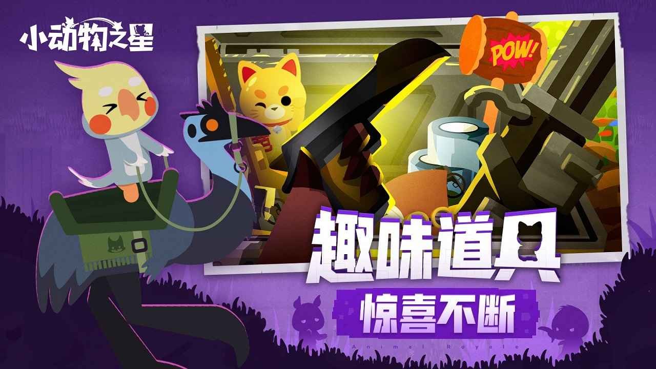 小动物之星汉化版截图2