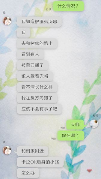 我的女友在被人追赶中文版