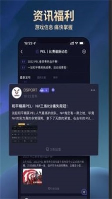 DSPORT截图1