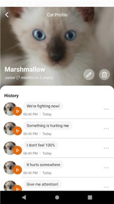 meowtalk截图2