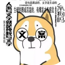 文案表情狗