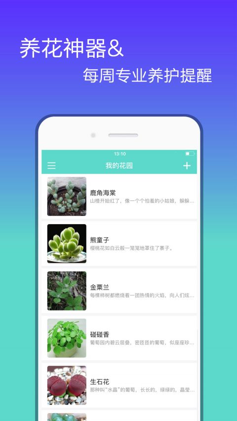 花信截图1