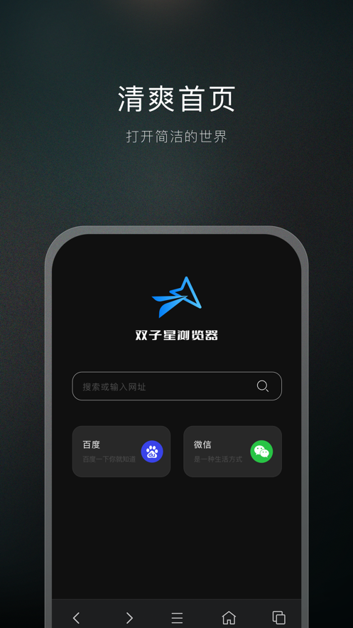 双子星浏览器手机版截图3