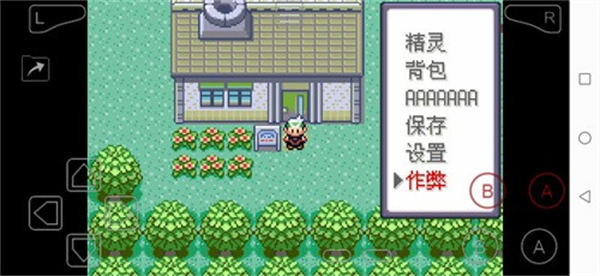 口袋妖怪绿宝石全随机版截图1