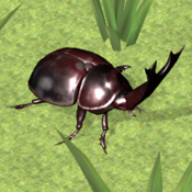 昆虫战斗模拟器最新版