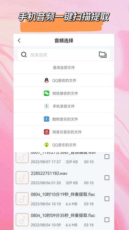 音频格式大师官方版截图3