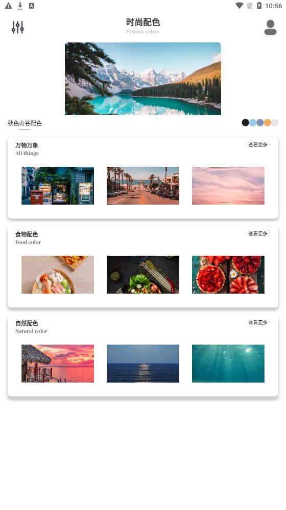 ColorHunt颜色猎人截图3