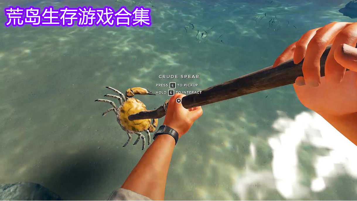 荒岛生存游戏合集