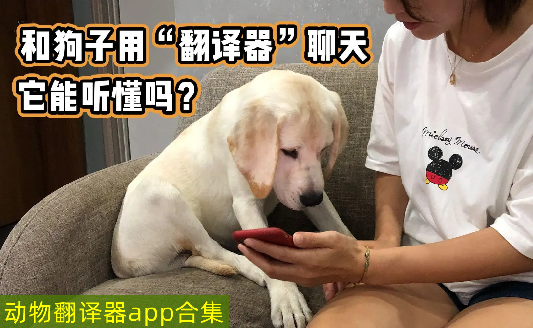 动物翻译器app合集
