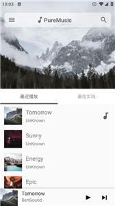 puremusic纯音乐截图3