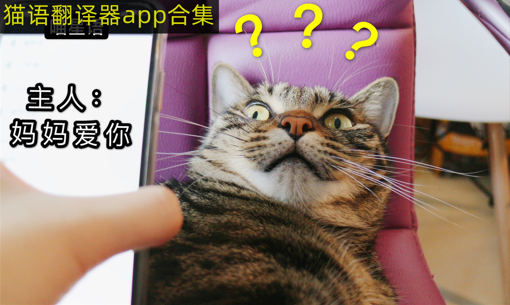 猫语翻译器app合集