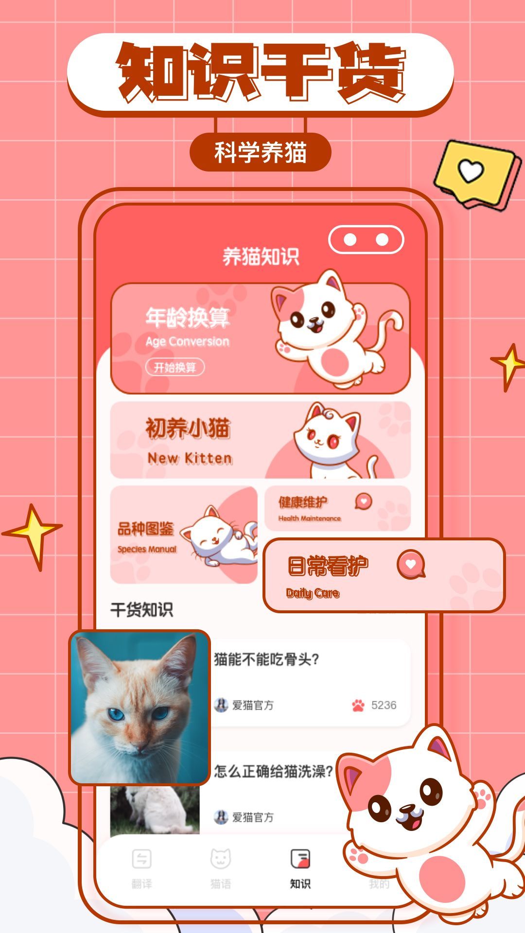 猫咪翻译物语截图2