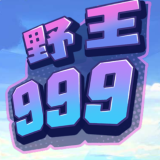 野王999